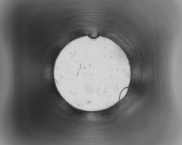 X0000101650616200808071116