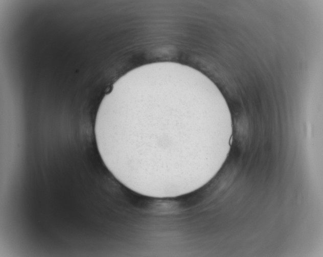 X0000101650617200808071116