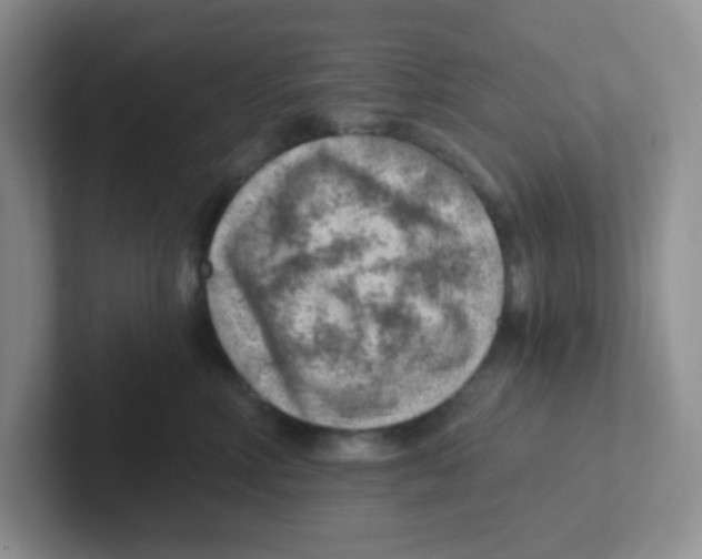 X0000101650618200808071116