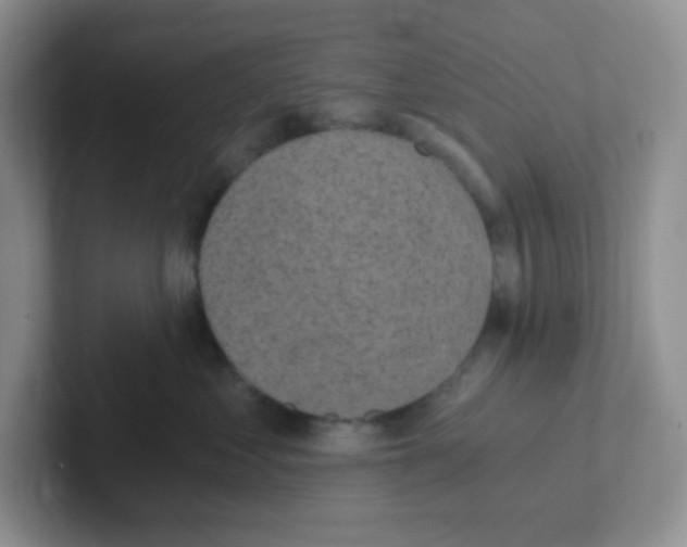 X0000101650621200808071116