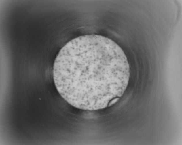 X0000101650624200808071116