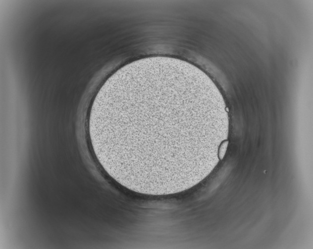 X0000101650625200808071115