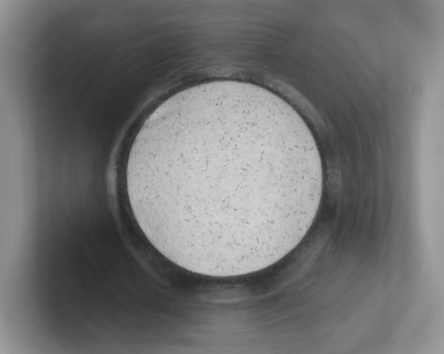 X0000101650626200808071115