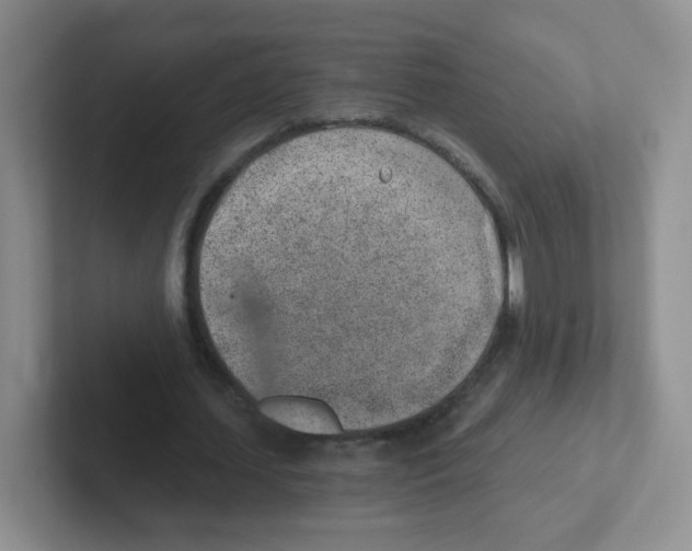 X0000101650627200808071115