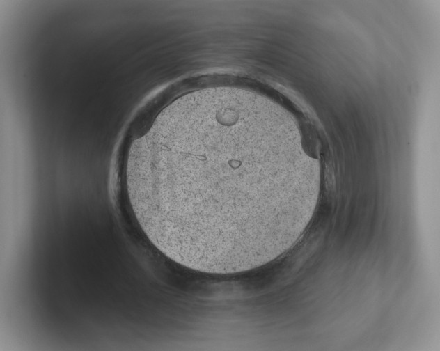 X0000101650628200808071115