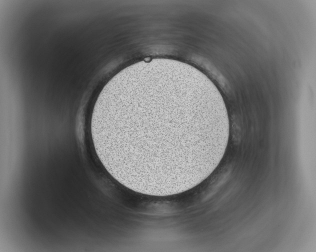 X0000101650631200808071115