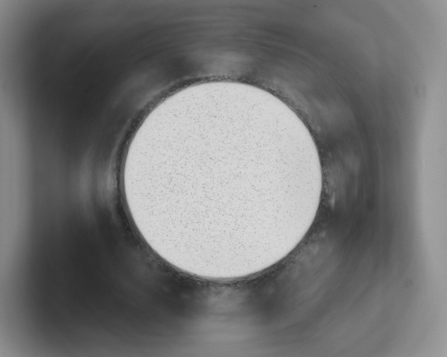 X0000101650632200808071115