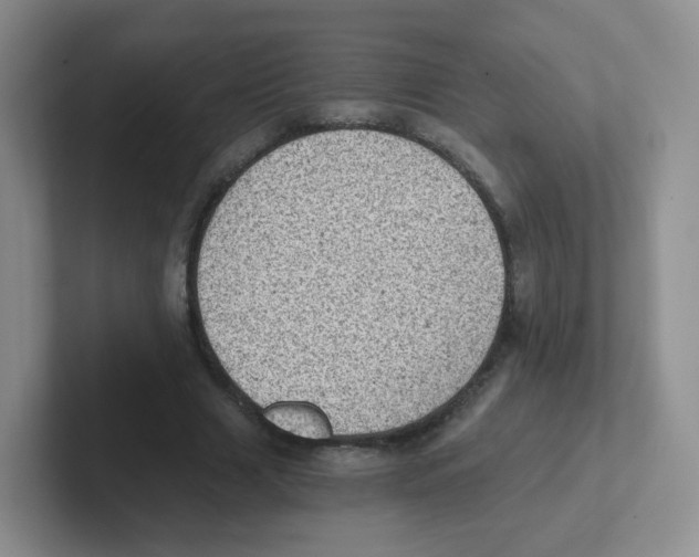 X0000101650633200808071115