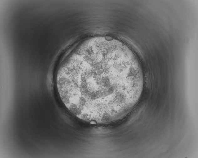X0000101650634200808071115
