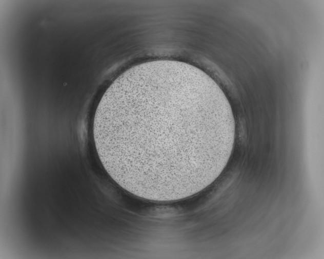 X0000101650636200808071115