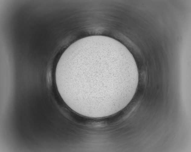 X0000101650638200808071115