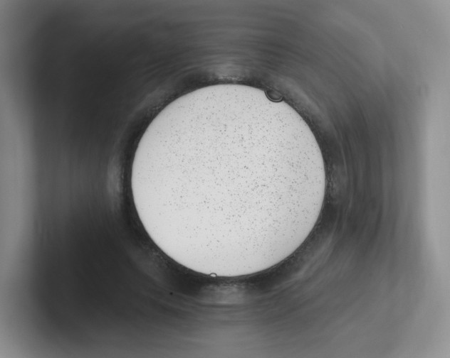 X0000101650639200808071115