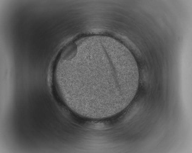 X0000101650640200808071115