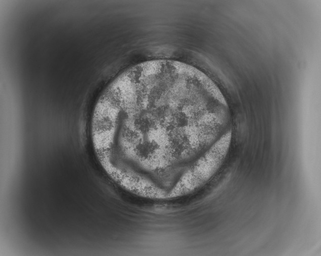 X0000101650641200808071115