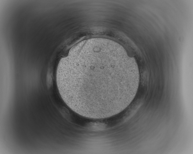 X0000101650644200808071115