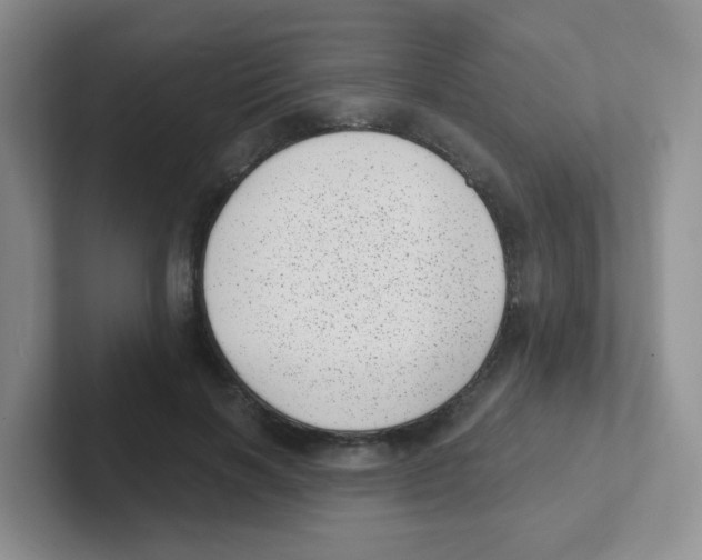 X0000101650646200808071115
