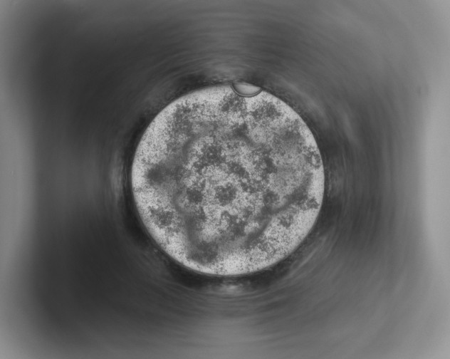 X0000101650647200808071115