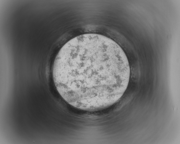 X0000101650648200808071115