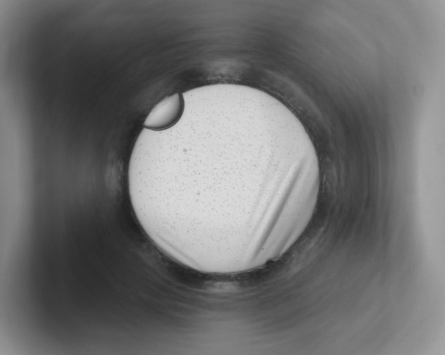 X0000101650649200808071115