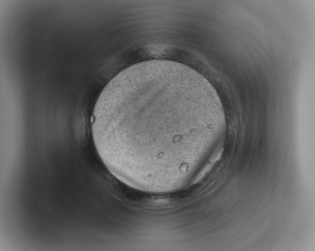 X0000101650651200808071115