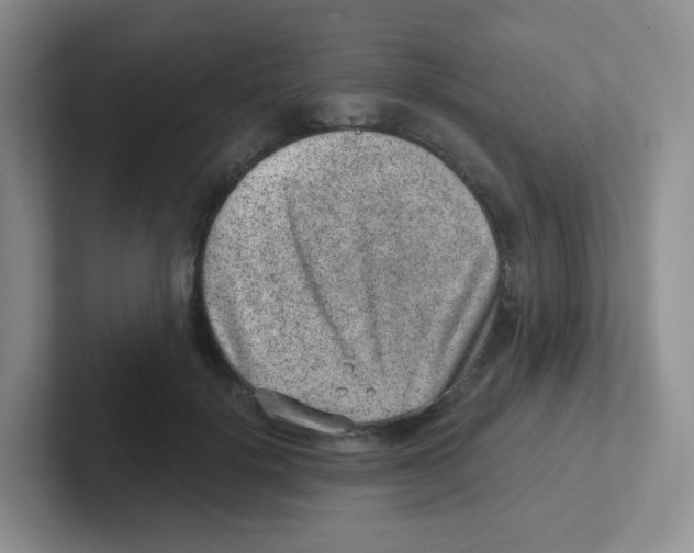X0000101650652200808071115