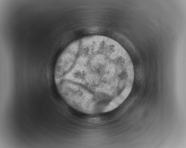X0000101650653200808071115