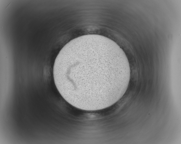 X0000101650654200808071115