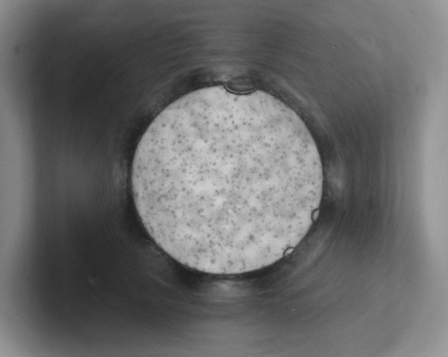 X0000101650657200808071115