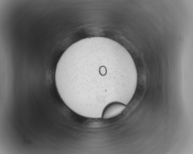 X0000101650658200808071115