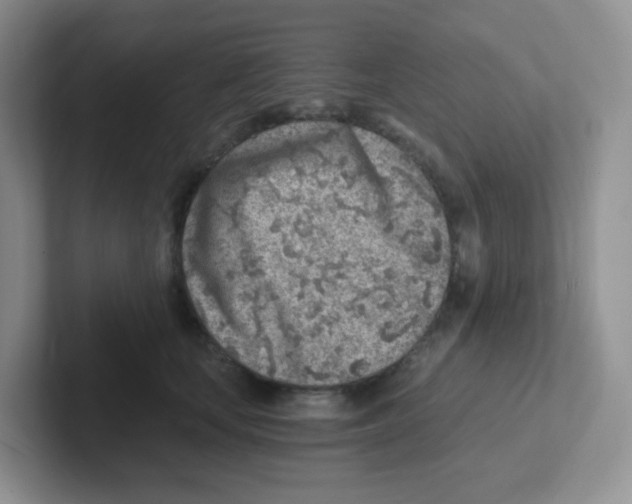 X0000101650659200808071115