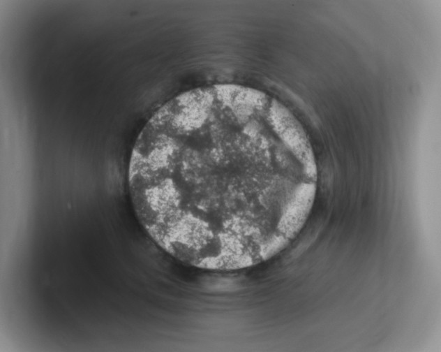 X0000101650661200808071115