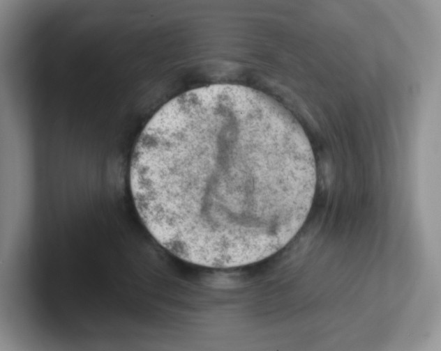 X0000101650664200808071116