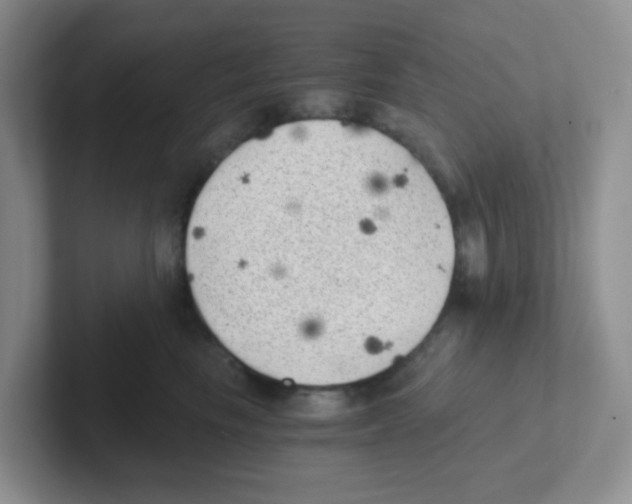 X0000101650665200808071116