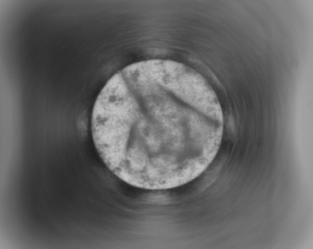 X0000101650668200808071116
