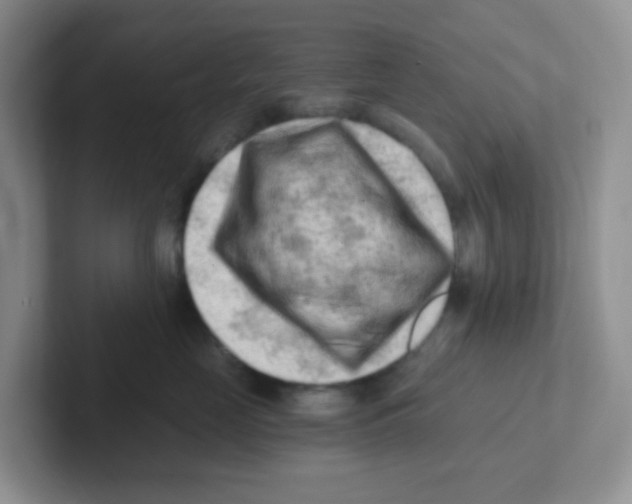 X0000101650669200808071116