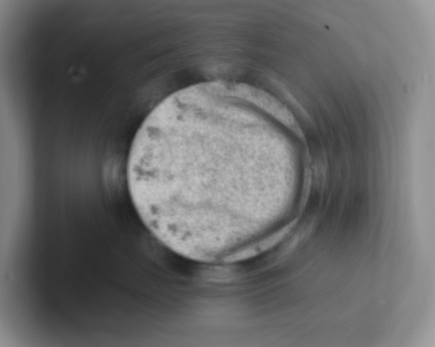 X0000101650671200808071116