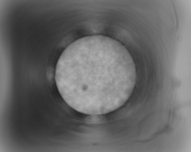 X0000101650672200808071116