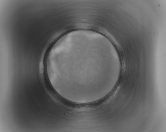 X0000101650674200808071115
