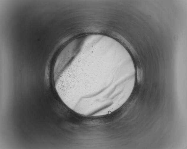 X0000101650675200808071115