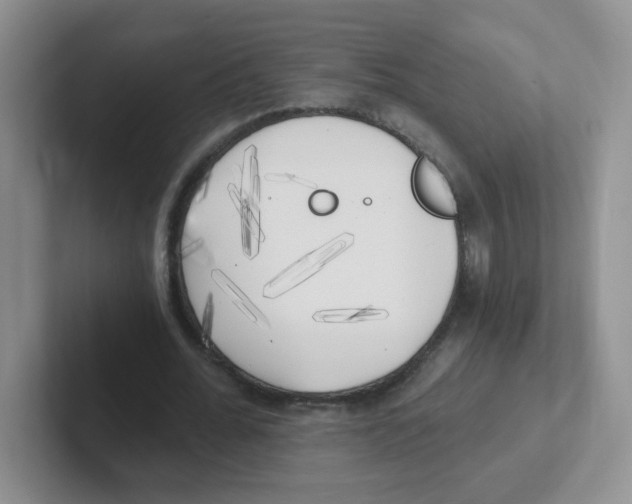 X0000101650676200808071115