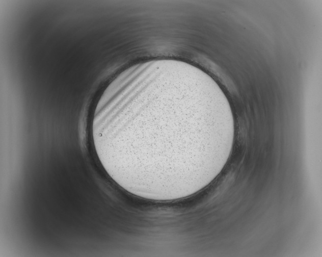 X0000101650677200808071115