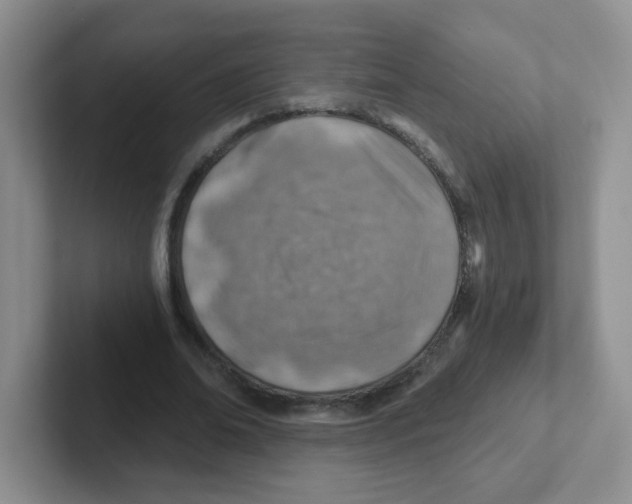X0000101650678200808071115
