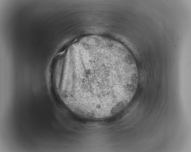 X0000101650679200808071115