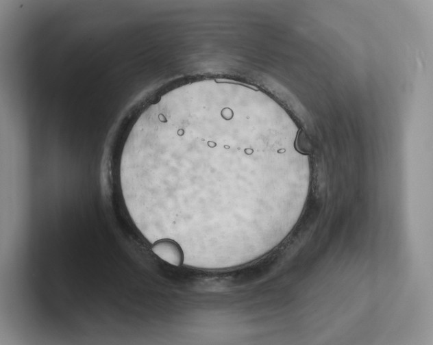 X0000101650680200808071115