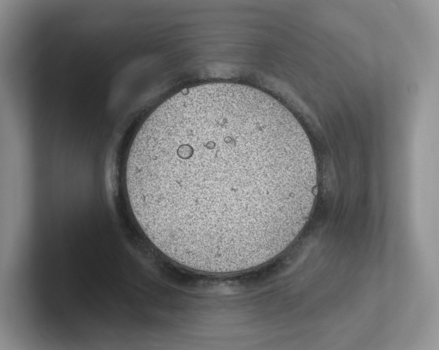 X0000101650683200808071115