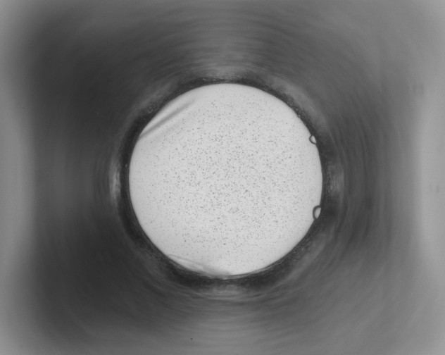 X0000101650685200808071115
