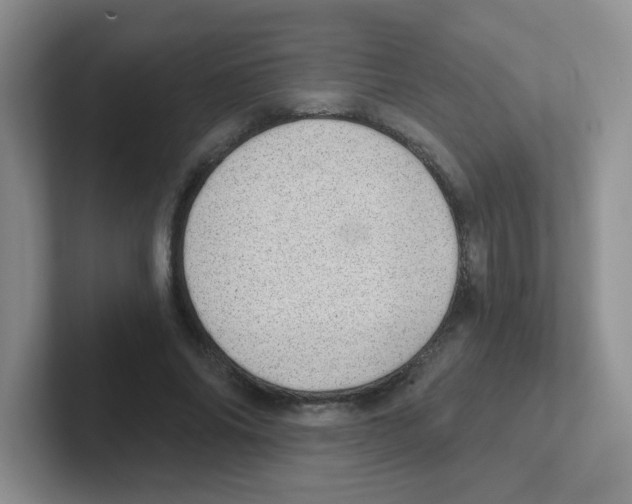 X0000101650686200808071115