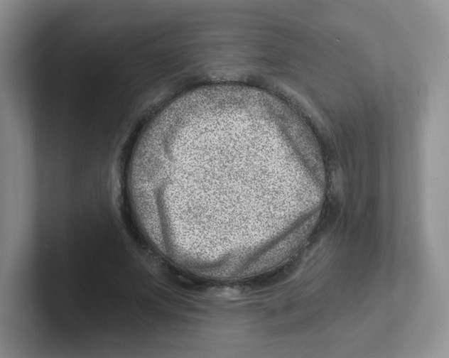 X0000101650687200808071115