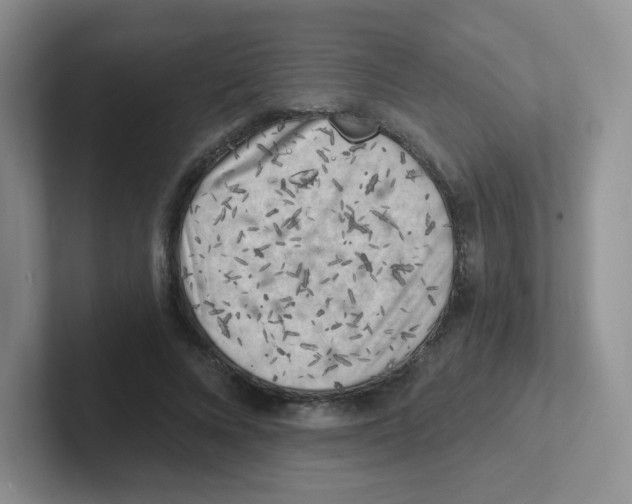 X0000101650688200808071115