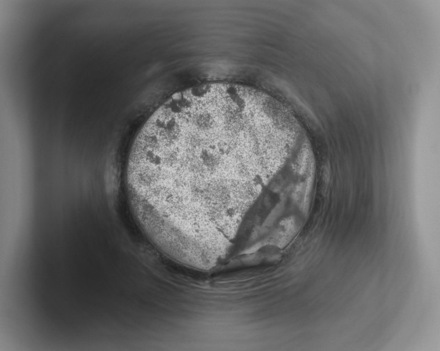 X0000101650691200808071115